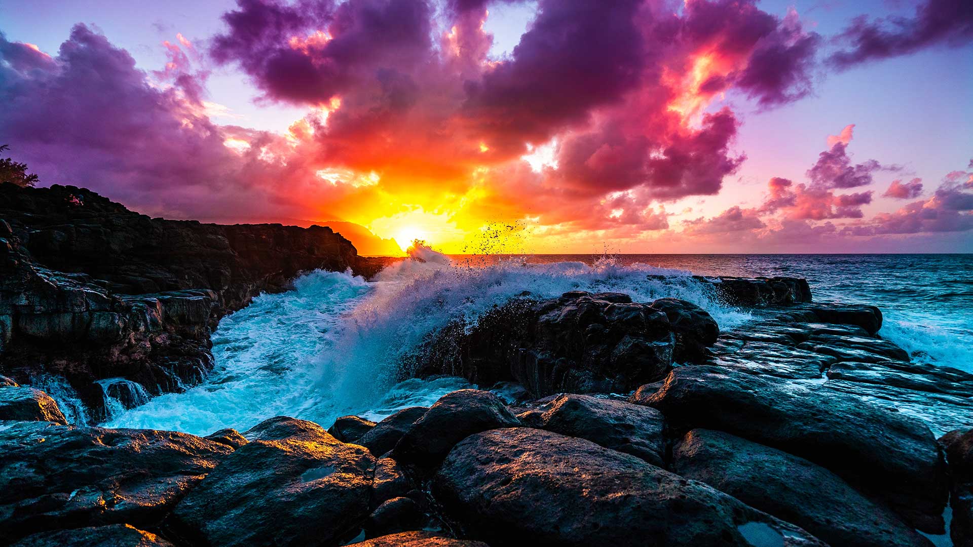 Kauai, Chiropractor, Fix Chiropractic, The Fix